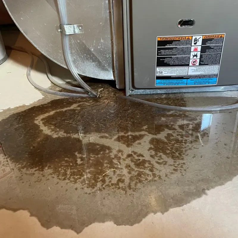 Pipe Burst and Leak Restoration in North Bel Air, MD